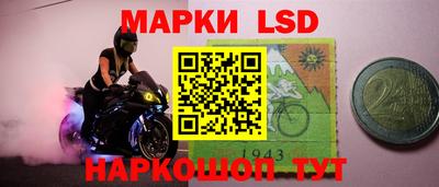 Альфа ПВП Майкоп