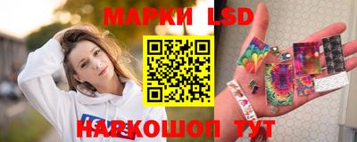 прущие грибы Ленинск-Кузнецкий