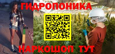 прущие грибы Ленинск-Кузнецкий