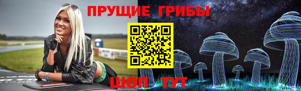 Аргун  Псилоцибиновые грибы Cubensis  Вход с VPN 